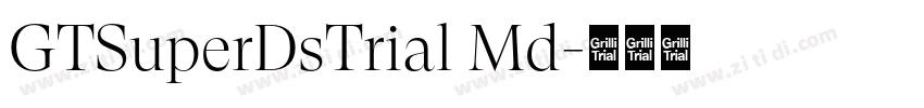 GTSuperDsTrial Md字体转换